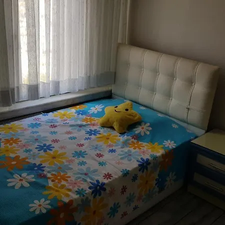 Edihome *