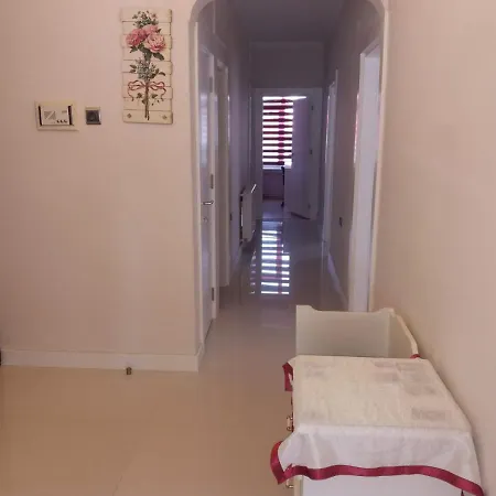 Edihome Appartement